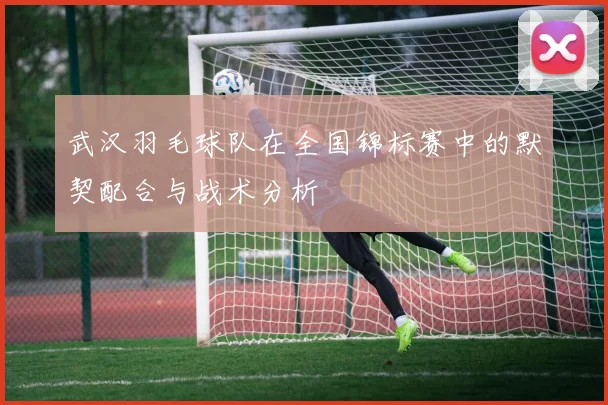 武汉羽毛球队在全国锦标赛中的默契配合与战术分析