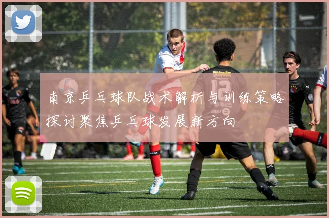 南京乒乓球队战术解析与训练策略探讨聚焦乒乓球发展新方向