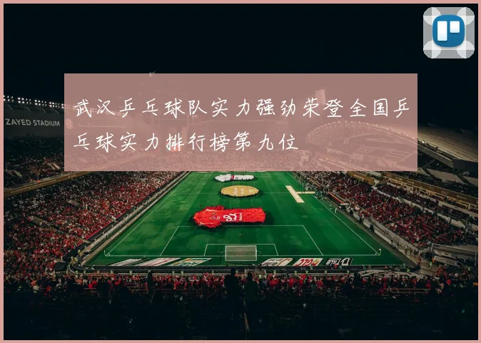 武汉乒乓球队实力强劲荣登全国乒乓球实力排行榜第九位