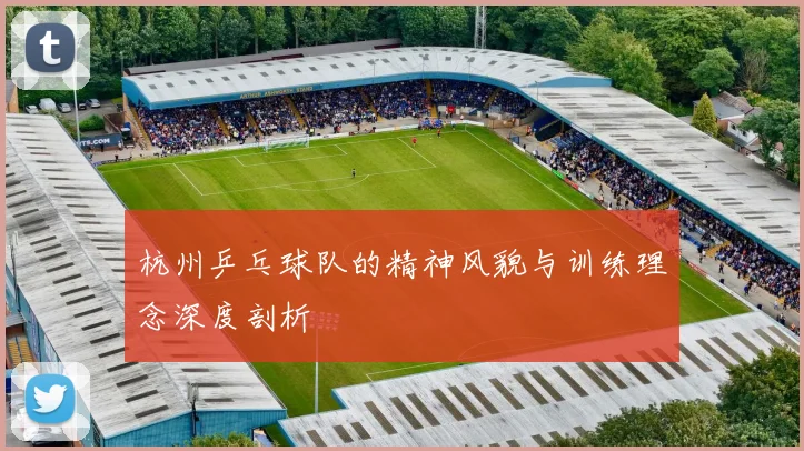 杭州乒乓球队的精神风貌与训练理念深度剖析