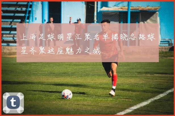 上海足球明星汇聚名单揭晓各路球星齐聚这座魅力之城