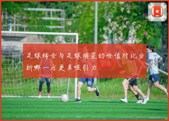 足球转会与足球明星的价值对比分析哪一方更具吸引力