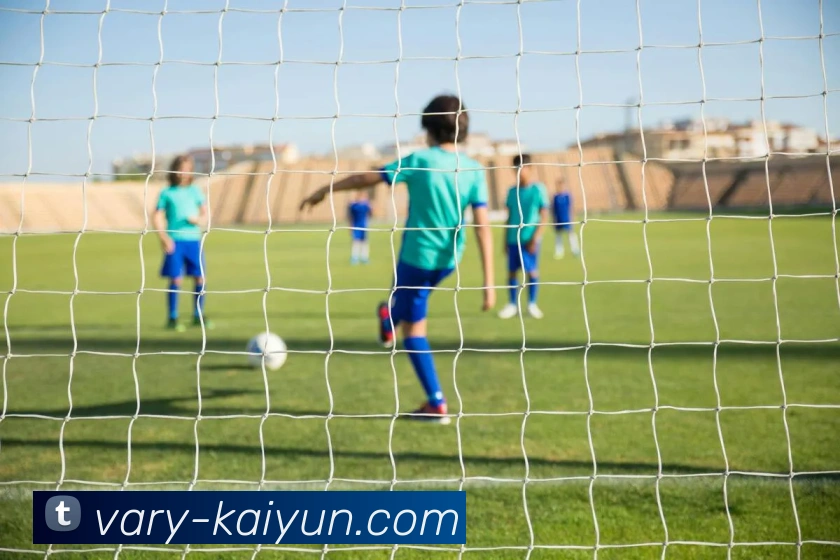 开云平台生态图